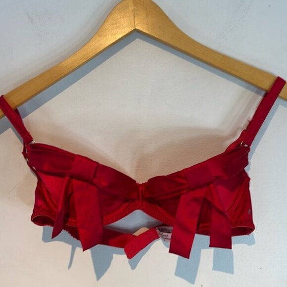 Agent Provocateur ‘BIRTHDAY SUIT’ Bra in Red SILK size 3 (34C) - Picture 3 of 16